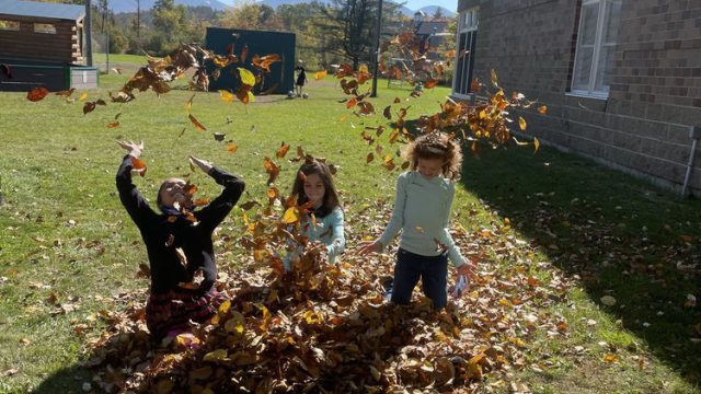 Fall+Leaves+and+Sunshine+at+school