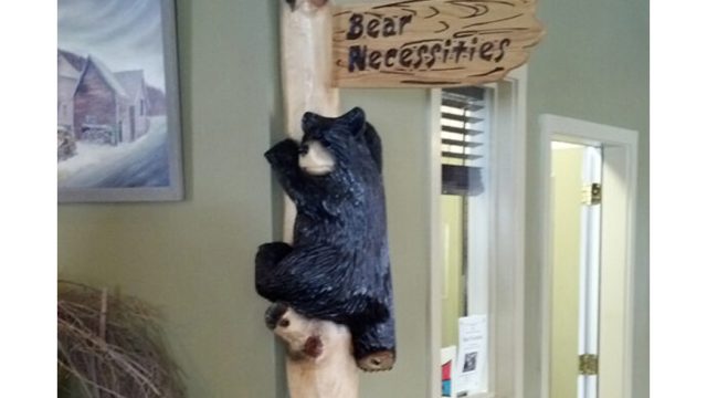 bear