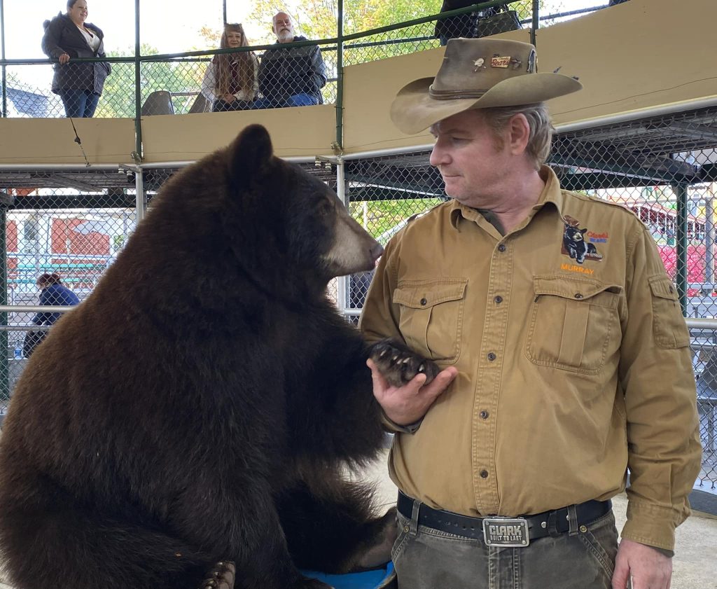 Clark's Bears - Franconia Notch Regional Chamber of Commerce