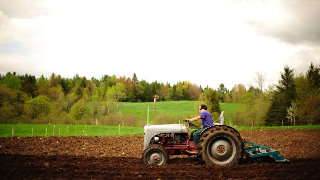 meadwostone tractor